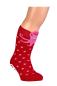 Preview: 2 Paar TippTexx 24 Kinder Sockenschuhe "Baby-Tiere"